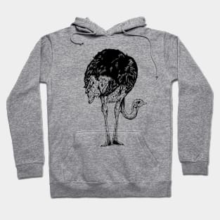 Line drawing - ostrich Hoodie